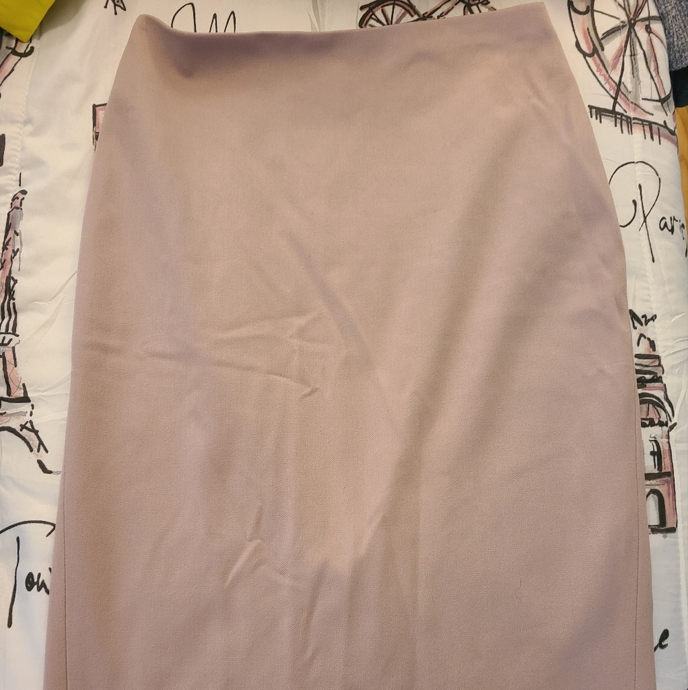 Express Pencil Skirt